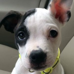 Meet your Posher, Sonia